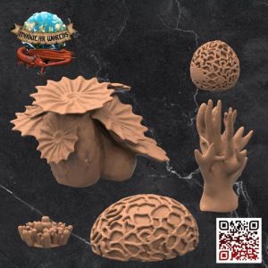 Coral Reef Set (5)
