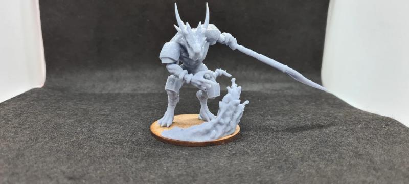 Lizardfolk Bodyguard - Image 7