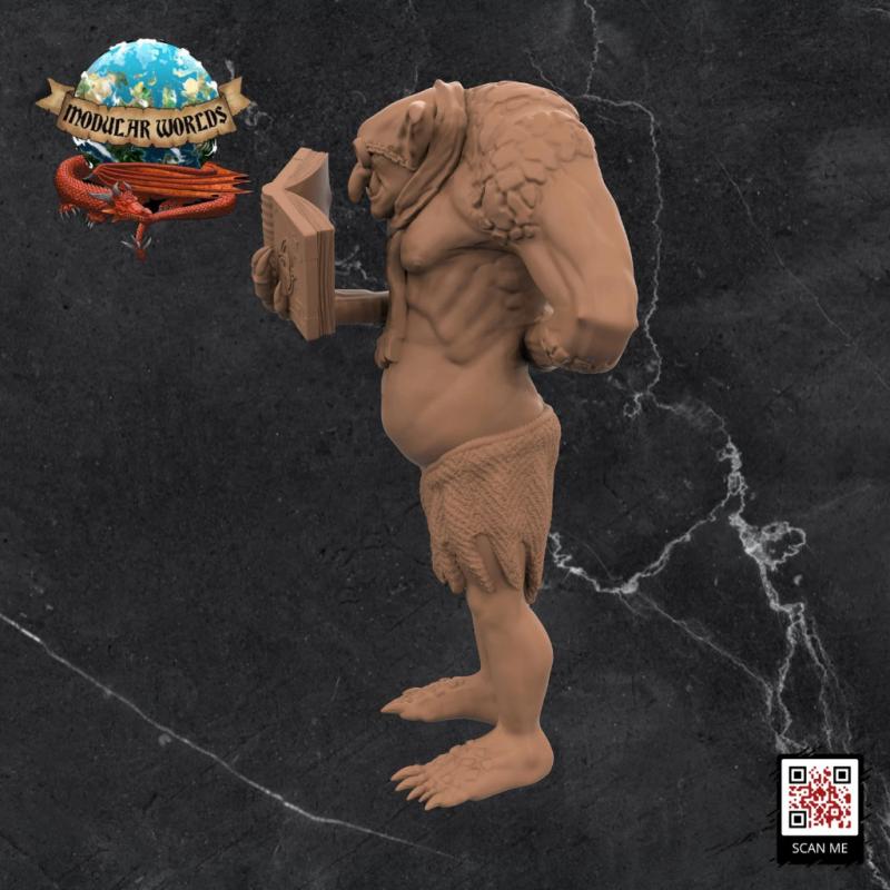 Troll Academist - Image 2