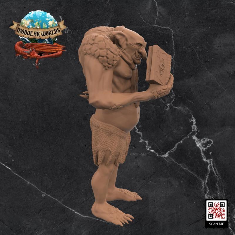 Troll Academist - Image 3