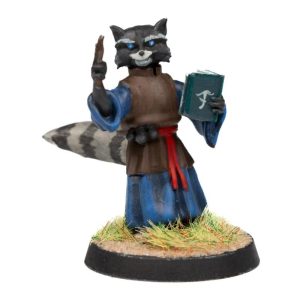 Raccoonfolk Wizard