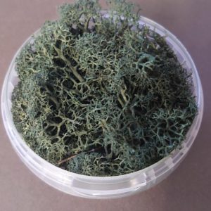 Darkwood Hedge Basing Material