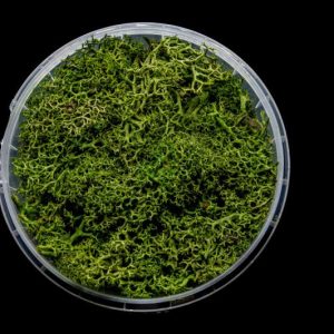 Green Hedge Basing Material