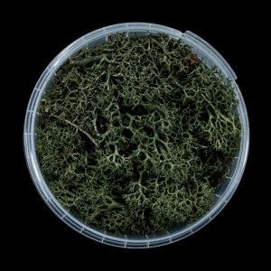 Darkwood Hedge Basing Material