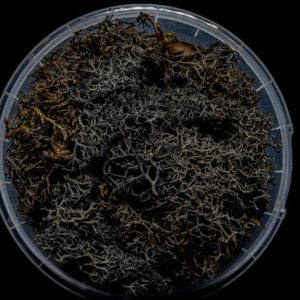 Burnt Hedge Basing Material