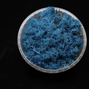 Coral Blue Hedge Basing Material