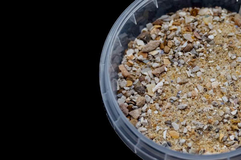 Shell Shocked - Image 2