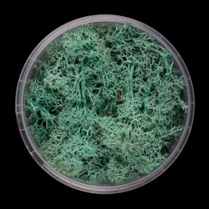 Alien Hedge Basing Material