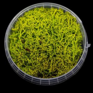 Toxic Hedge Basing Material