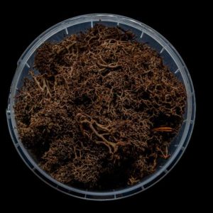 Deadwood Hedge Basing Material