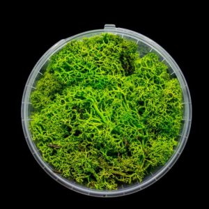 Lush Hedge Basing Material