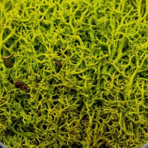 Toxic Hedge Basing Material