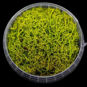 Toxic Hedge Basing Material