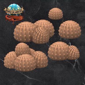 Ball Cacti (10)