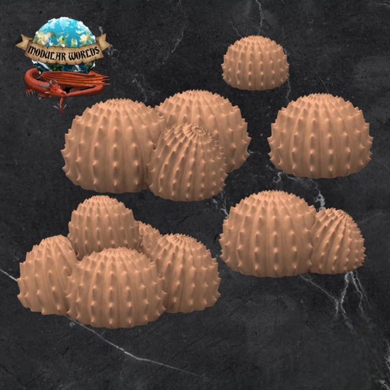 Ball Cacti (10)