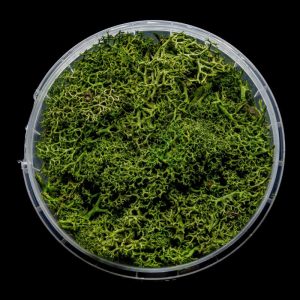 Green Hedge Basing Material