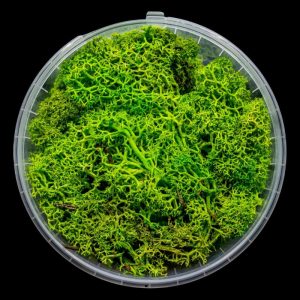 Lush Hedge Basing Material