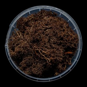 Deadwood Hedge Basing Material