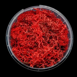 Bleeding Hedge Basing Material